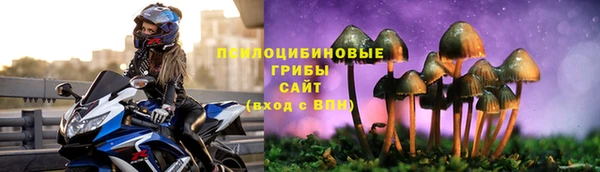мескалин Арсеньев