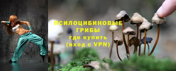 гидропоника Аркадак