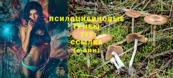 гидропоника Аркадак