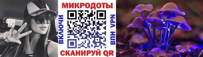 наркота  Салехард  Галлюциногенные грибы Magic Shrooms 