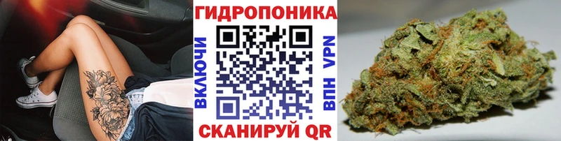 Каннабис сатива  Салехард 